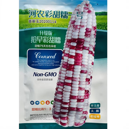 White, sweet and waxy corn seeds, high-yielding, sown in all seasons, white and waxy corn, non-transferable, national-approved, farmers’ super-sweet and waxy corn seeds, Jinuo 20 corn seeds, 100g, 1 bag