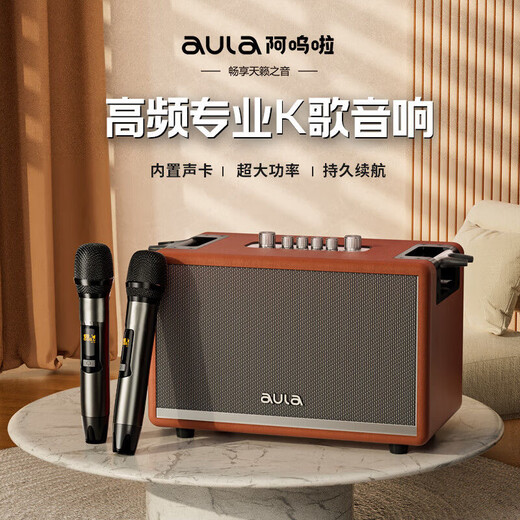 Awola Retro Bluetooth Speaker Teaching and Teaching Musical Instruments Playing and Singing Amplifier Charging Dual Microphones Musical Instruments Playing Outdoor Karaoke AK812 Four Speakers 130W Power Dual Microphones