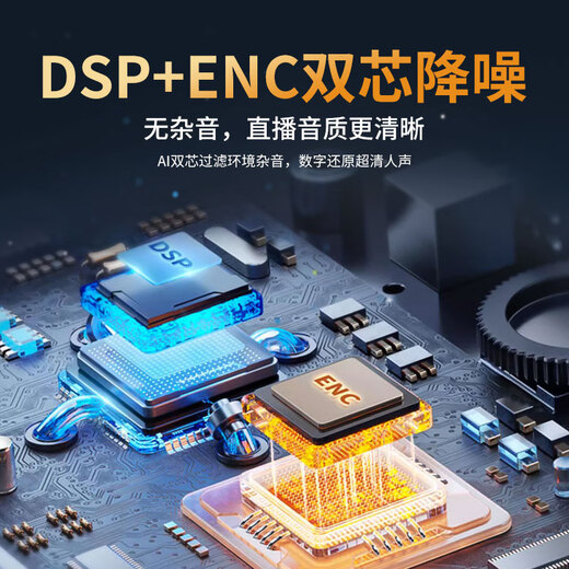 Yangfeisi Radio 0 Negative Reviews Wireless Lavalier Microphone Anchor Live Recording Equipment Outdoor Douyin K Song Radio Microphone Professional Noise Reduction Microphone Mobile Phone Computer Camera One to Two