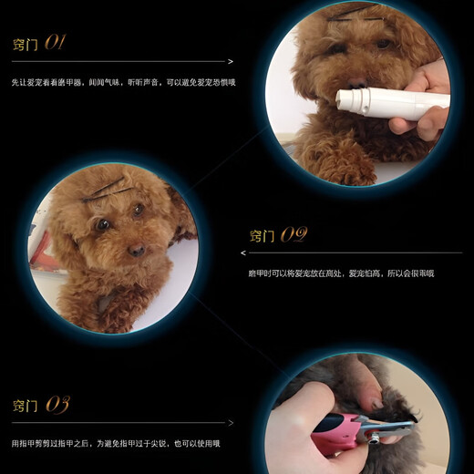 GERTHRON German Pet Nail Grinder Electric Pet Polishing Rechargeable Cat Nail Scissor Artifact Kitten Cat Catch Novice Knife Blue Lighted Enhanced Model 500mA + Replacement Grinding Head