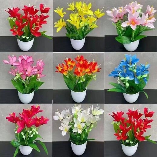 Ten Miles of Fragrance Lazy New Product Fragrance Jade Bulb Flower Potted Flowers All Seasons Blooming Large Flower Collection Cold-resistant New Variety Flame Color Cold-resistant and Drought-resistant Selection of 8 pieces Blooms in 30 days + Fertilizer