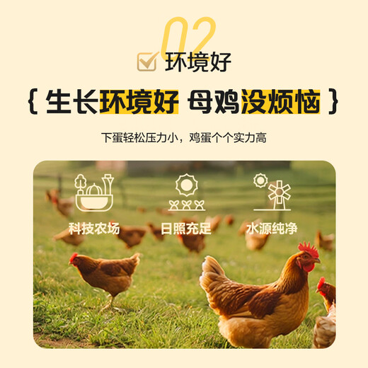 No. 1 member store can eat 30 raw eggs. Net weight is 3.6Jin. Jin is equal to 0.5kg. Selected large size eggs in gift box. Directly from the source. No. 1 member store can eat 30 raw eggs. Net weight is 3.6Jin. Jin is equal to 0.5kg. Selected large size eggs in gift box. Directly from the source.