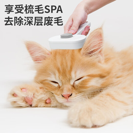 Golden pet cat comb to remove floating hair artifact cat hair cleaner dog needle comb pet comb brush cat special comb gray