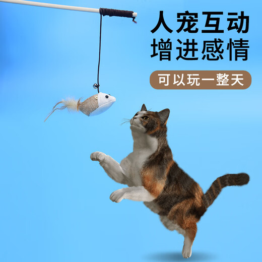 Pochido cat toy 5-piece set of cat amusing sticks, cats self-pleasure and relieve boredom, small mice with bells, bite-resistant, cats consume energy