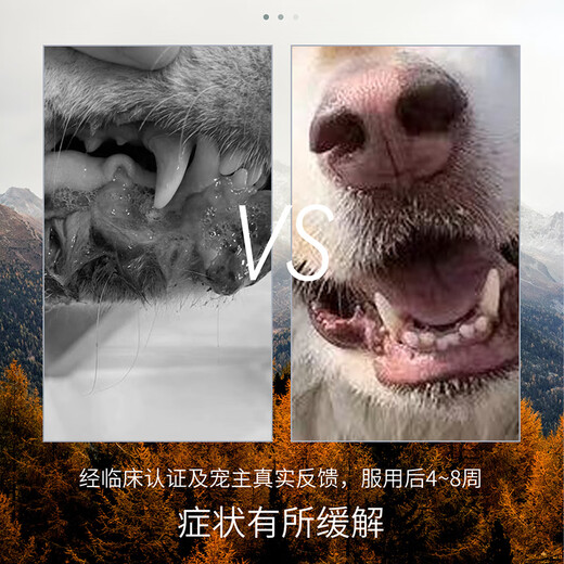 Squam Kangping Pet Dog Oral Tumor and Anal Mass Squamous Carcinoma Cat Oral Tumor Reduction and Elimination of Tumors and Cancer Tumors Three Boxes