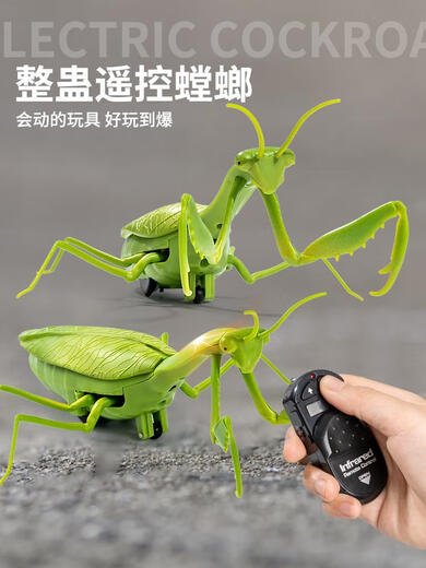 
Xiaoyan Remote Control Mantis Electric Simulation Toy Douyin Prank Artifact Cockroach Boys Moving Spider Crawling Small Animal Classic Version - Remote Control Ladybug Red Model 9922 Official Standard