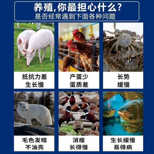 OIMG imported Peruvian fish meal 68% protein feed livestock and poultry domestic chicken duck pig feed fox and marten Peruvian fish meal 68% protein 50Jin Jin equal to 0.5 kg