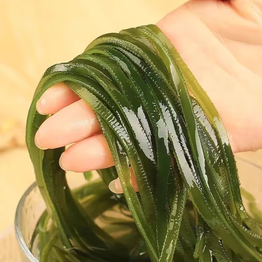 鲜海带 盐渍海带丝 海带凉拌菜鲜嫩 盐渍海带丝2.5kg
