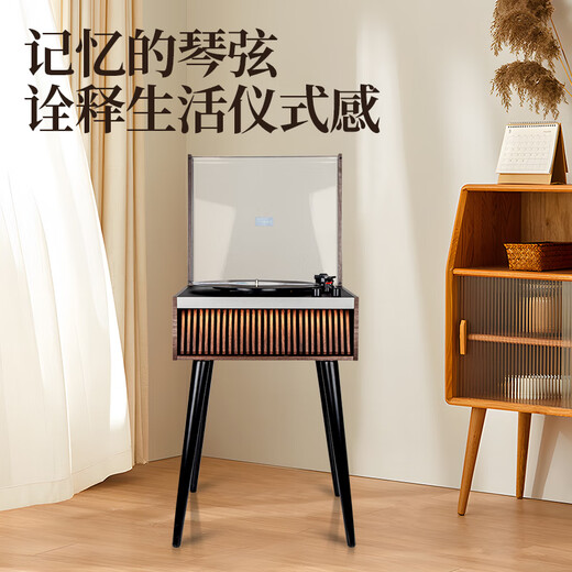 SANSUI vinyl record player, integrated retro gramophone, upright bluetooth film record player, nostalgic living room ornaments, birthday gift V25 Sweet Honey