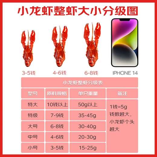 Feifei Xiazhuang Braised Crayfish 700g 6-8 yuan Clean shrimp 450g 25-year-old whole shrimp heated and ready to eat