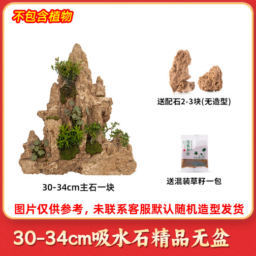 High-quality water-absorbing stone bonsai fish pond rockery micro-landscape decoration natural rockery stone landscaping raw stone high-quality 30-34cm water-absorbing stone without basin