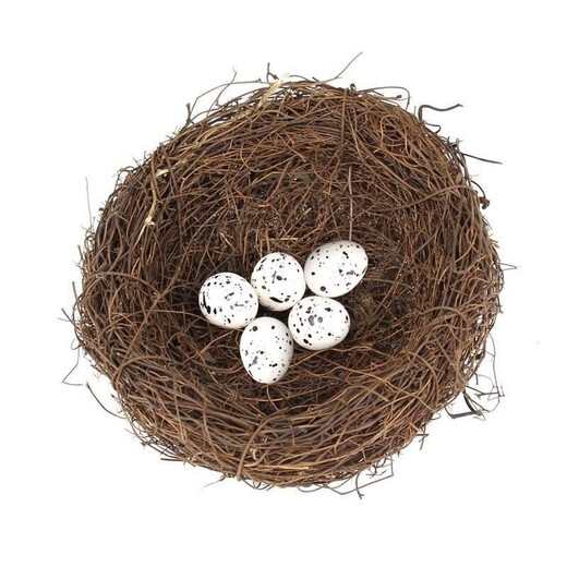 Runhuanian simulated bird's nest handmade rattan woven bird's nest egg small bird straw woven bird's nest birdcage decorative ornaments photo props 5 white simulated bird eggs