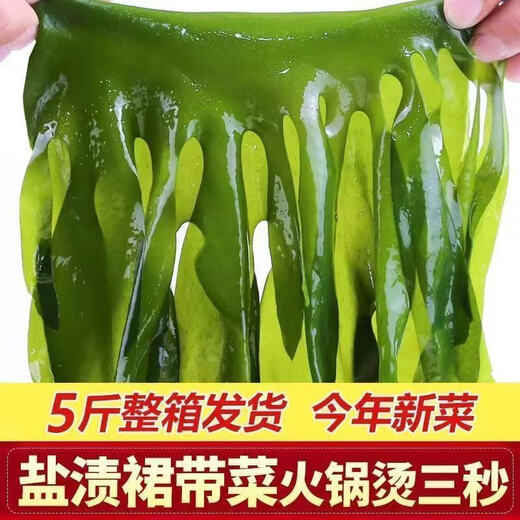 Salted wakame, fresh kelp salad, kelp seedlings, hot pot soup ingredients, first-class wakame sprouts, salted wakame 500g, 1 pack