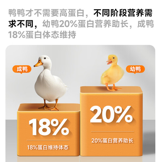 Pinyunmei pet Cole duck special food for adult and young pet duck feed Cole duck opening egg laying full price nutritional food adult duck special food for Cole duck 2Jin Jin equal to 0.5 kg