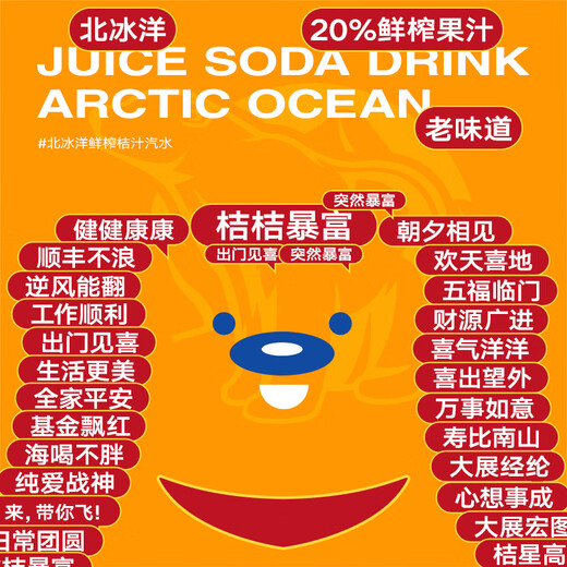 Arctic Ocean Freshly Squeezed Orange Juice Soda Juice Sparkling Carbonated Drink 236mI*12 Bottles Full Box 20% Juice Content New Year's Goods