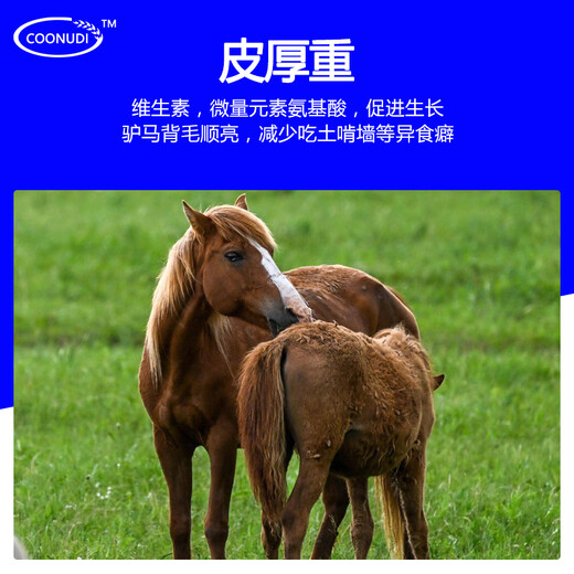 Kangdi 4% donkey premix donkey horse mule fattening feed breeding female donkey foal opening material anti-hair loss biting breeding female donkey