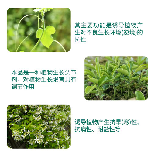 Guoguang Kangxiu 0.1%S inducer plant antifreeze agent fruit tree seedlings antifreeze agent plant growth regulator