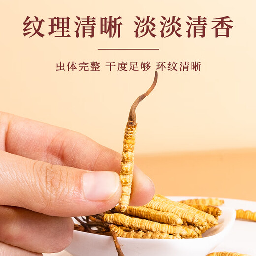
Authentic Tibetan Cordyceps 3 1 gram 50 gift boxes in snow-capped mountains and the Cordyceps gifts to nourish and nourish the dried goods Authentic Tibetan Cordyceps 2 1 gram 50 pieces