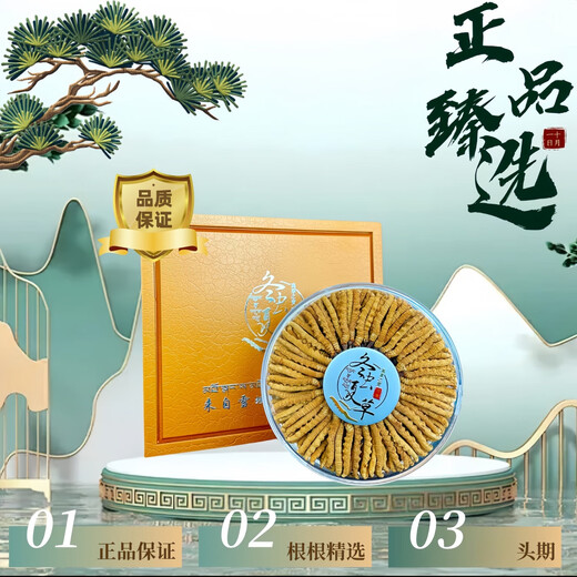 
Selected authentic snow mountain cordyceps sinensis genuine first-stage fresh cordyceps 50g gift box for 4 pieces/gram dry goods Tibet Nagqu Cordyceps 50 pieces gift box for 2 pieces/gram
