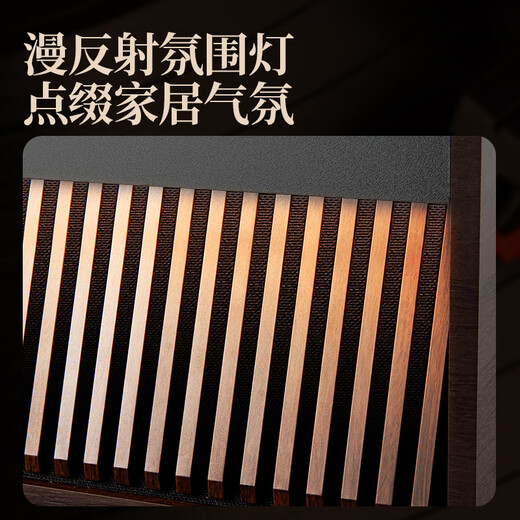 SANSUI vinyl record player, integrated retro gramophone, upright bluetooth film record player, nostalgic living room ornaments, birthday gift V25 Sweet Honey