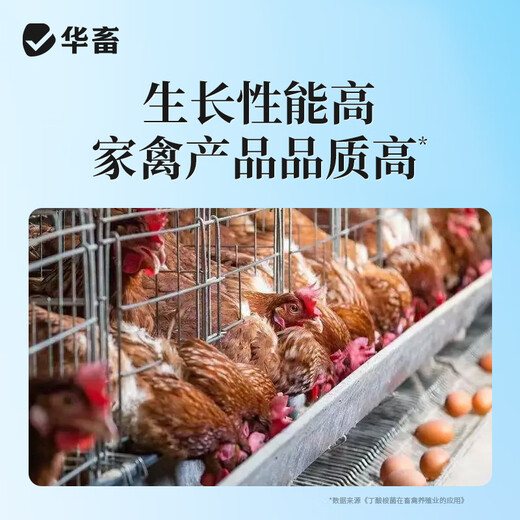 Huaxiu veterinary live bacteria plus enzyme probiotics appetizer fattening conditioning intestinal ammonia removal pig livestock feed additives 1 bag buy 2 get 1 Jin Jin equal to 0.5 kg multi-dimensional compound probiotics