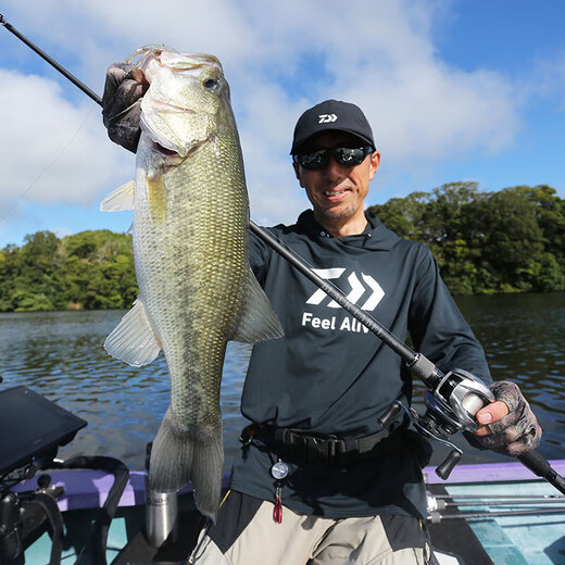 Daiwa 25 neue Blacklabel x Japanische Version Schwarz Mark Luya Rod Universal Long Throw Rod Mikroobjekt Sea Bass Mandarin Fischstange 2.03m Japanische Version 681mh/MFB