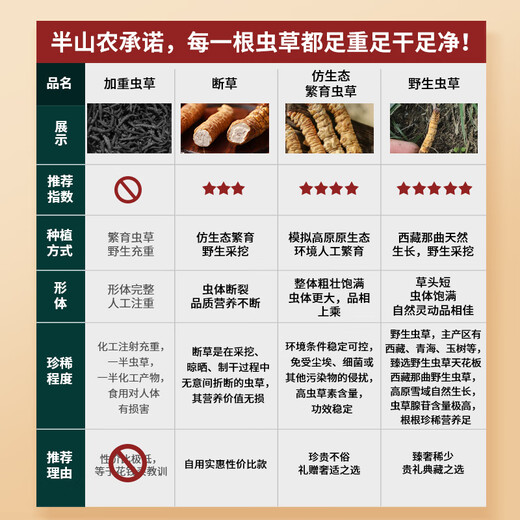 半山农【野生】冬虫夏草5条/克 8克40根礼盒 西藏那曲虫草滋补营养品