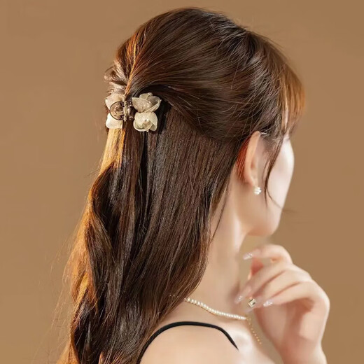 Two Worlds Half-tied Hair Clip for Women with Small Hair Volume 2025 High-end Korean Style Mesh Small Size Bangs Broken Hair Clip Hair Accessory Hair Clamp Champagne Coffee Small Clip