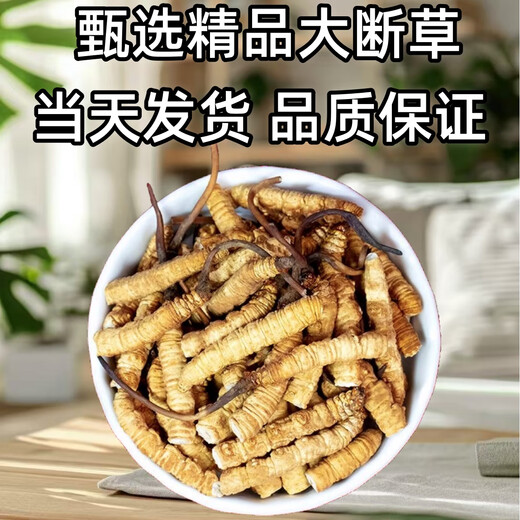 Cordyceps Sinensis крупная сломанная трава тибетская область Высококачественная скидка на самообучение Cordyceps на тот же день выставки 2025 г.