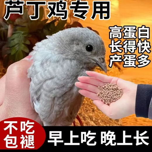 Rutin chicken special feed Rutin chicken egg production feed mealworm brooding feed quail feed high protein 5Jin Jin is equal to 0.5 kg egg production food containing mealworm dried vegetables