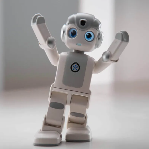 Ubly wukong Robot Intelligent Nanny Intelligence artificielle Programmation Danse Apprentissage de la machine éducative Early Machine Machine Companion Surveillance Care pour les personnes âgées Nanny Home Robot Boad Box [100 Cours de programmation pour le package anti-Fall]