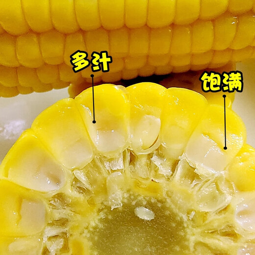 Ice cream fruit corn seeds delicious super sweet popsicles raw fresh rock sugar crispy waxy corn seeds 400g can Golden Crown 597