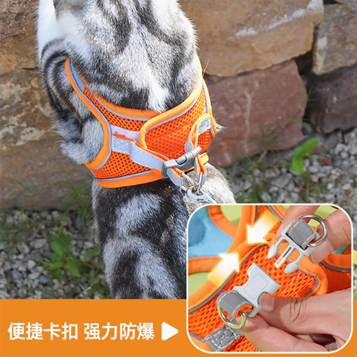 猫咪牵引绳防挣脱专用猫绳小型犬胸背带绳子溜猫绳宠物牵狗绳遛狗 橙蓝色 M码【建议6-12斤】