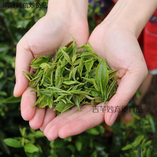 Hongxuan Manwei Shaanxi Green Tea Fried Green Tea Shangluo Specialty Shangnan Green Tea 2024 New Tea Special Spring Tea Quanming Shuangshan Brand 1 Pack 250g