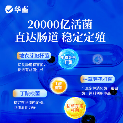 Huaxiu veterinary live bacteria plus enzyme probiotics appetizer fattening conditioning intestinal ammonia removal pig livestock feed additives 1 bag buy 2 get 1 Jin Jin equal to 0.5 kg multi-dimensional compound probiotics