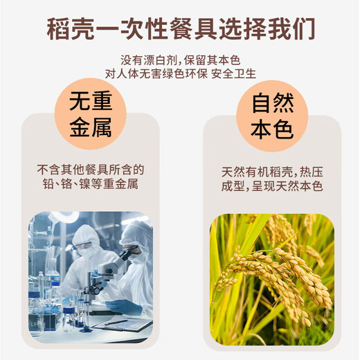 Rice husk disposable dinner plate square biodegradable thickened waterproof and oil-proof barbecue fruit disc camping picnic set 20 square plates