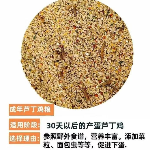 Rutin chicken special feed Rutin chicken egg production feed mealworm brooding feed quail feed high protein 5Jin Jin is equal to 0.5 kg egg production food containing mealworm dried vegetables