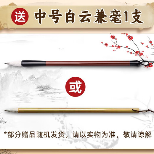 Marley Chinese Painting Pigments Marley Chinese Painting Beginner Tool Set 12 Colors 24 Colors Ink Painting Supplies Elementary School Students Introduction Chinese Painting Pigments Art Sketching