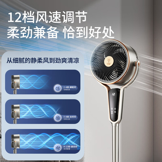 DIAMOND electric fan air circulation fan floor fan home bedroom fan living room dormitory restaurant voice remote control timing low noise smart fan large air volume variable frequency circulation fan-Yashijin AI voice remote control