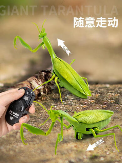 
Xiaoyan Remote Control Mantis Electric Simulation Toy Douyin Prank Artifact Cockroach Boys Moving Spider Crawling Small Animal Classic Version - Remote Control Ladybug Red Model 9922 Official Standard