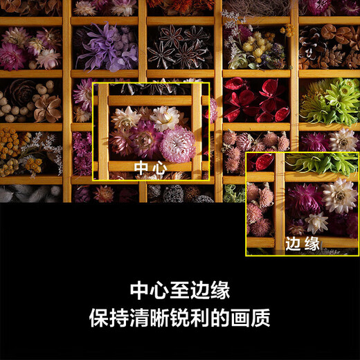 Sony (SONY) SEL2870GM full-frame standard zoom lens F2 large aperture G master lens (FE 28-70mm F2 GM filter protective set)