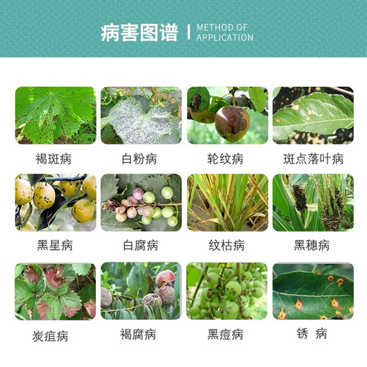 40% benzopyrazole fungicide difenoconazole pyraclostrobin anthracnose powdery mildew rust pesticide 30% high content 10g 1 bag