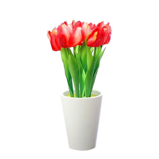 Tulip seed bulbs imported from the Netherlands, winter cold-resistant indoor and outdoor courtyard flower seeds, hydroponic plant pots, large balls, orange diamond, 5 balls + fertilizer (cheaper)