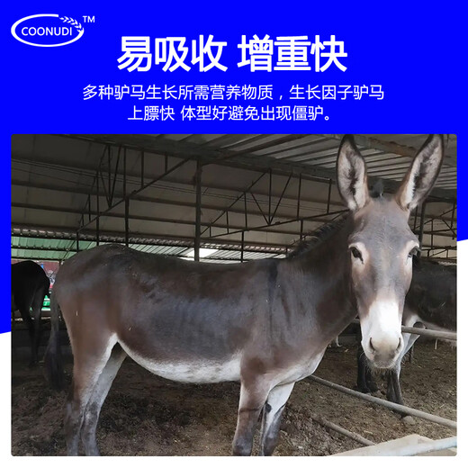 Kangdi 4% donkey premix donkey horse mule fattening feed breeding female donkey foal opening material anti-hair loss biting breeding female donkey