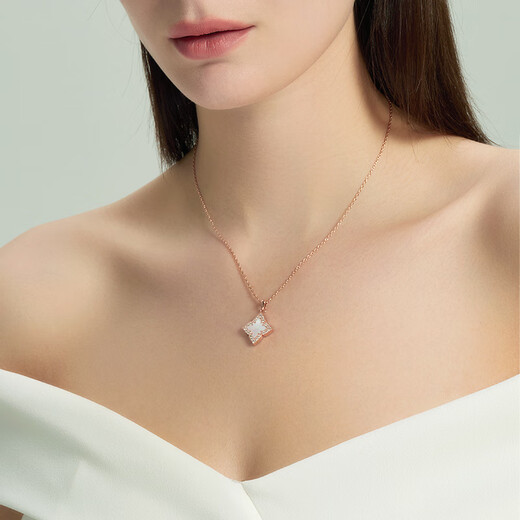 OeinOEINNolyn Fei Series Gusu Necklace Women's Accessories Light Luxury Design Exquisite New Style Clavicle Sweater Chain LX004 Gusu Xuanfu