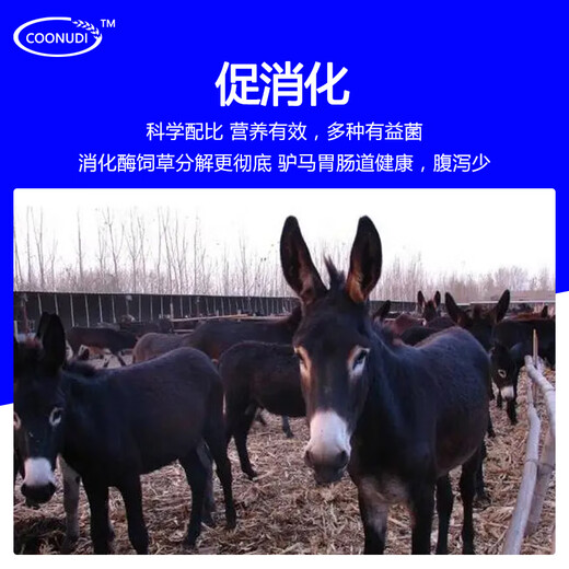 Kangdi 4% donkey premix donkey horse mule fattening feed breeding female donkey foal opening material anti-hair loss biting breeding female donkey