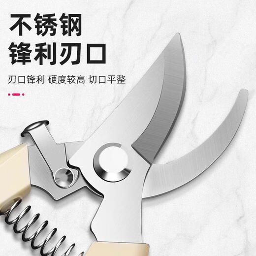 Jingxi pruning shears, fruit branch pruning tray planting shears, gardening shears, flower art shears, fruit tree garden shears, fruit picking thick branch shears, 2 elbow pruning shears