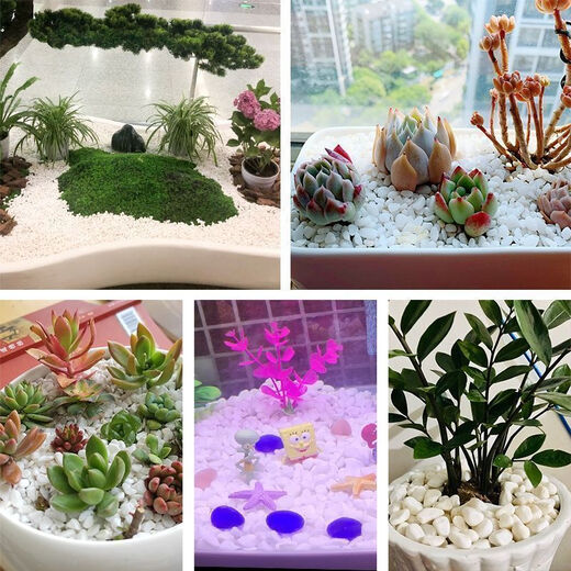 Runhuanian small white stone succulent paving stone flower cultivation pebbles rain flower stone fish tank landscaping basin fine full white stone 3-6mm 1Jin Jin is equal to 0.5 kg