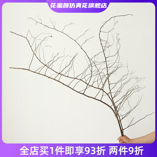 Wen Shi Ou Shan Return natural plant dried flower bouquet living room decoration wabi-sabi wind flower arrangement dry branches decorative ornaments dry branches Shan Return Light Branch No Fruit 3 dried flowers 100-115c