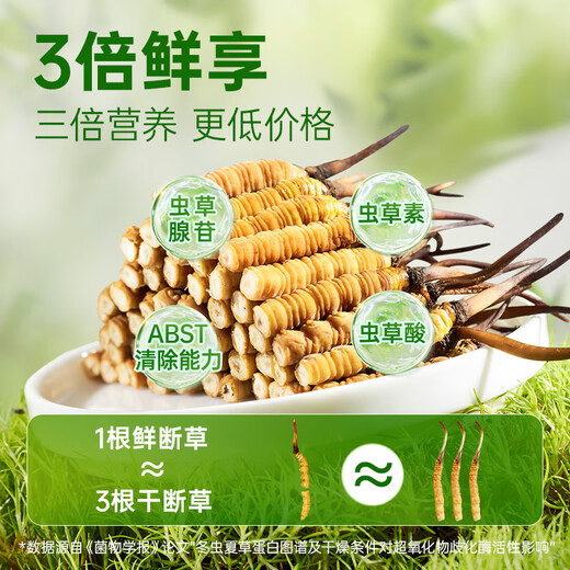 源江草【2025年鲜虫草】新鲜冬虫夏草 大号断虫草20克 源头直发冷运包邮